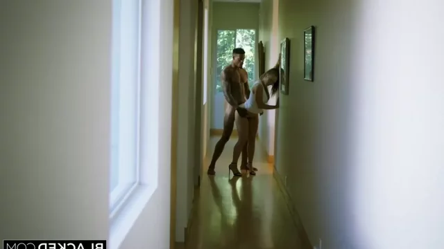 Лену Пол трахает BBC Джейсона Лава по всему дому.